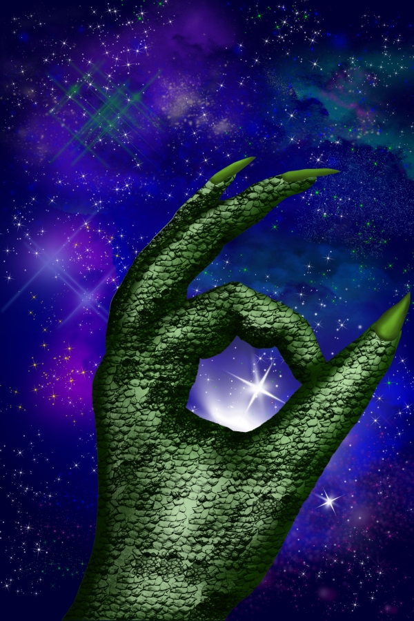 Creation of Sighting: Step 12